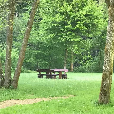 فندق Eifelerhof *
