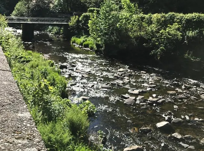 Eifelerhof 호텔 몬샤우